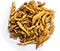 Daruharidra