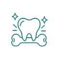 Strong Teeth & Bones