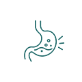 Support Digestion