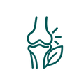 Support Joints & Bones Health
